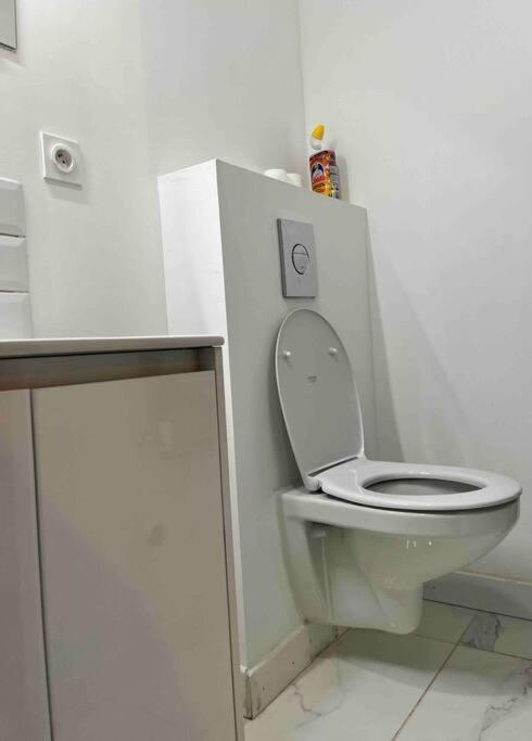 2 Room Flat トゥールーズ エクステリア 写真